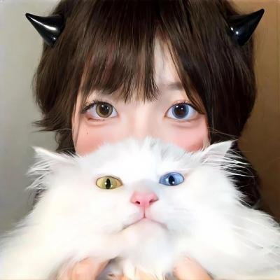 战地神探第八季